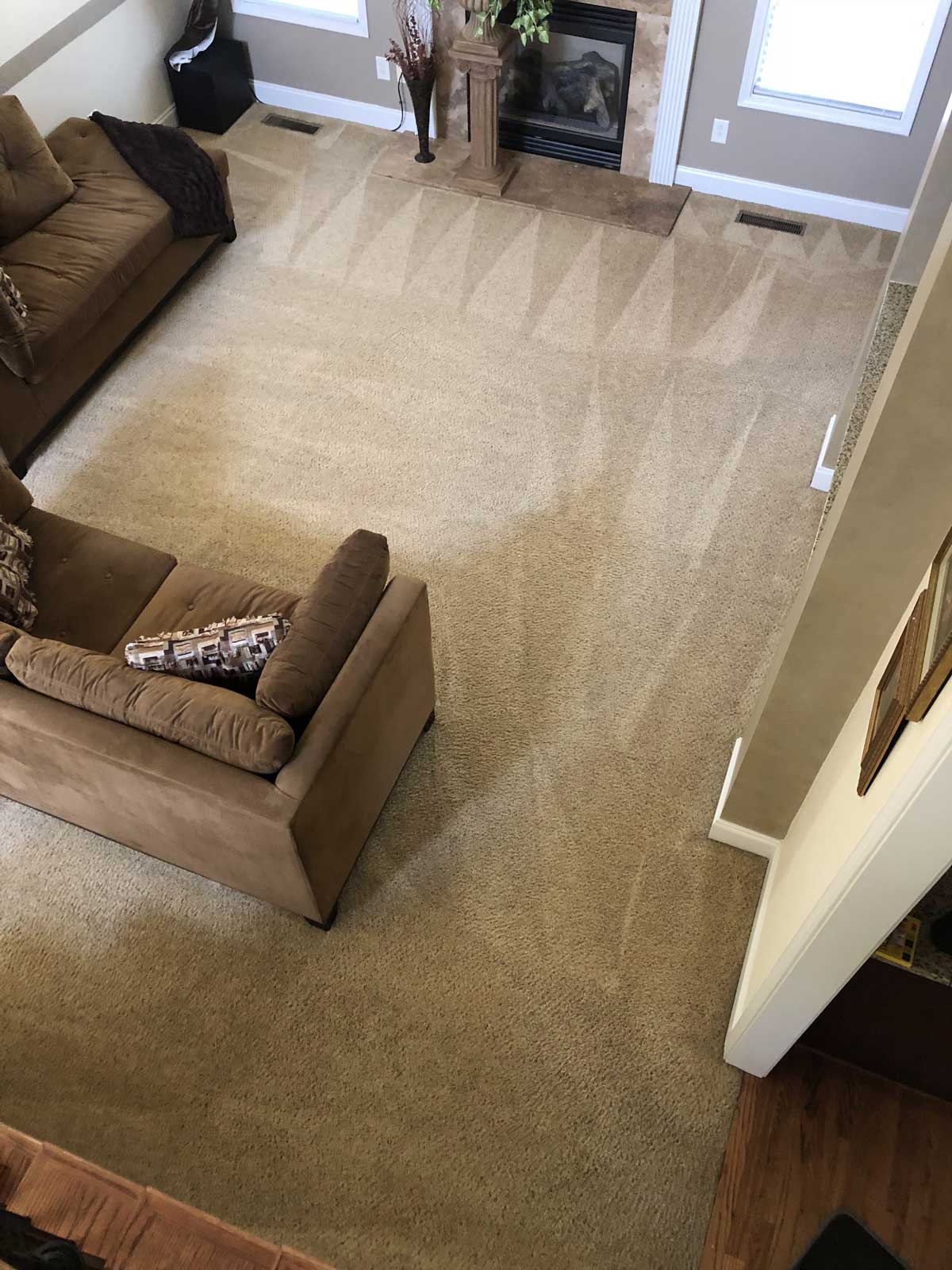 Professional Carpet Cleaning - Southern Floor Solutions - Greg Lovvorn